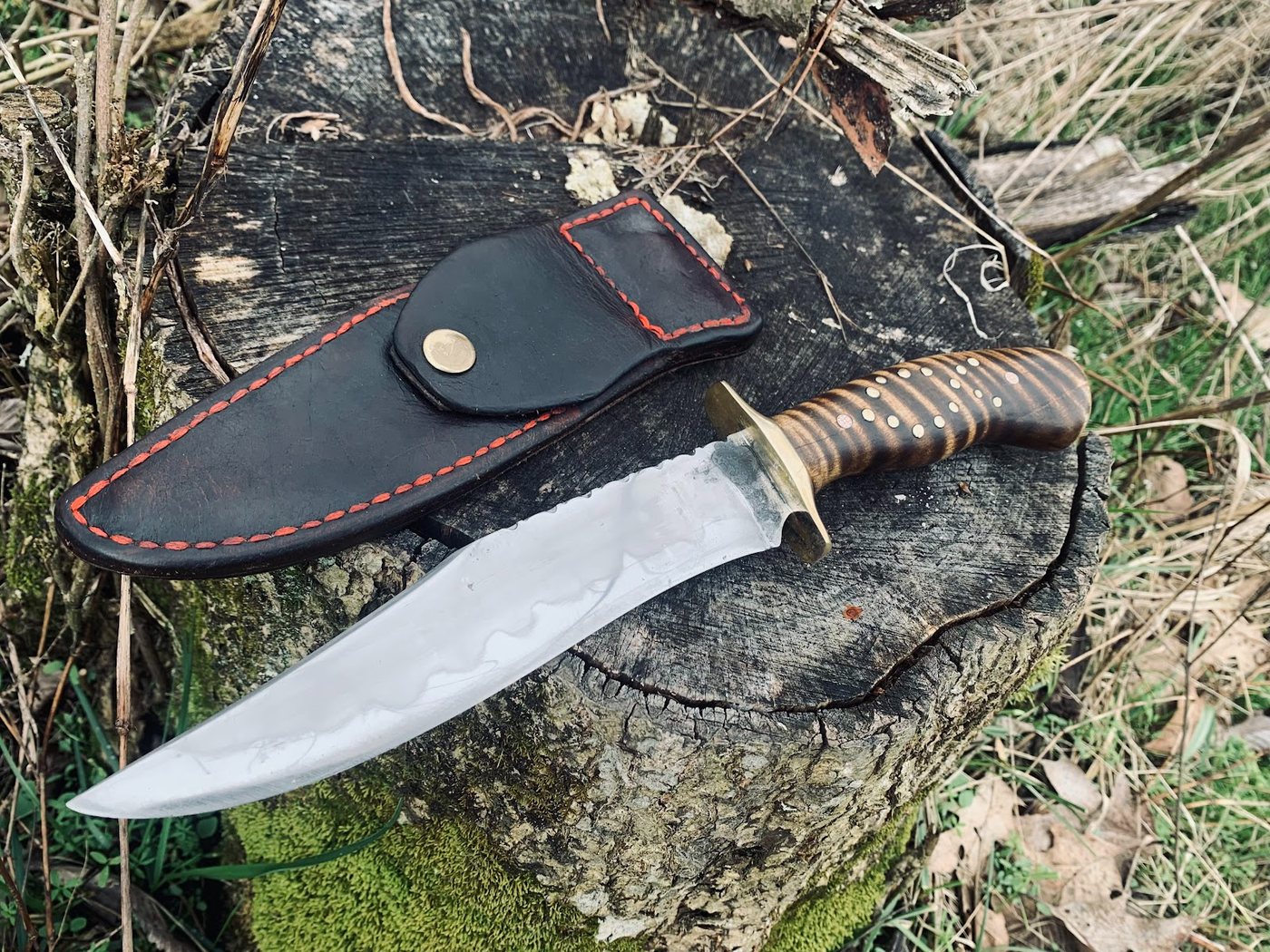 Accipiter Bowie