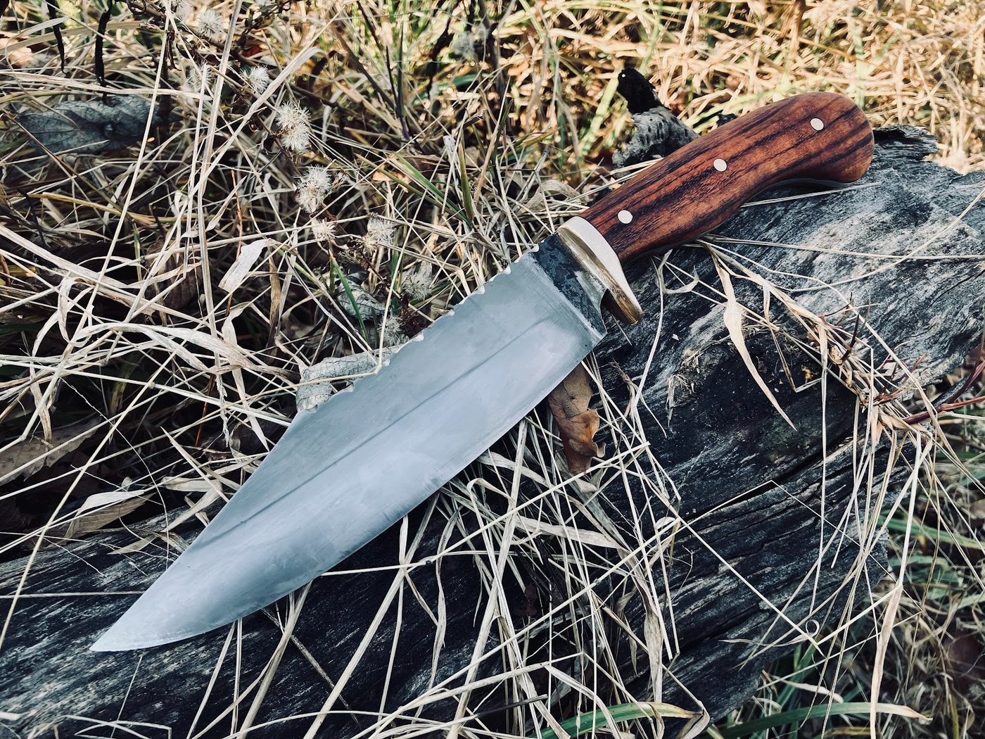 Red Hawk Bowie